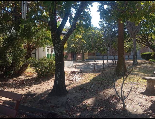 137M² OFFICE TO LET IN ROCKY DRIFT